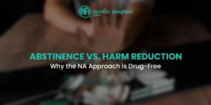 A banner image for Narcotics Anonymous Pakistan titled "ABSTINENCE VS. HARM REDUCTION: Why the NA Approach is Drug-Free," featuring a blurred person making a "stop" hand gesture over a pile of pills.